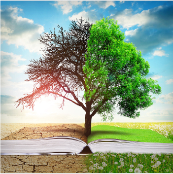 Climate Change and Human Health Literature Portal